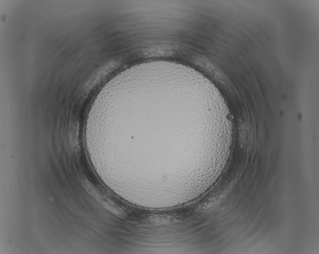 X0000077280490200611101321