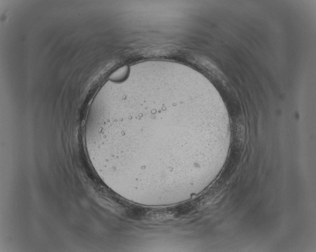 X0000077280491200611101321