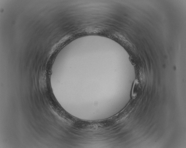 X0000077280492200611101321