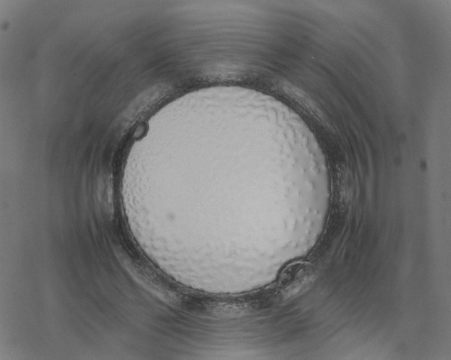 X0000077280494200611101321