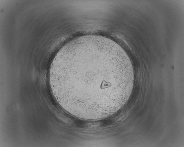 X0000077280495200611101321