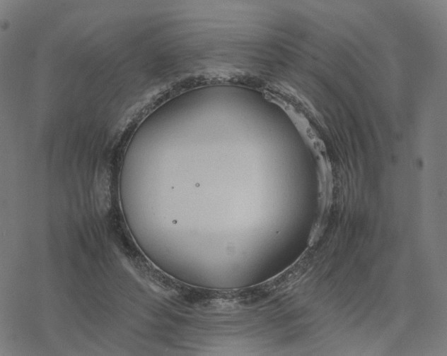 X0000077280496200611101321