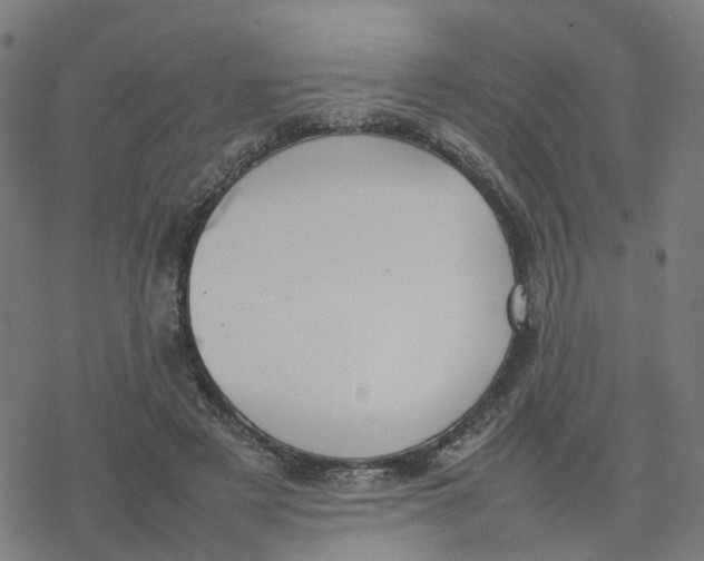 X0000077280497200611101321