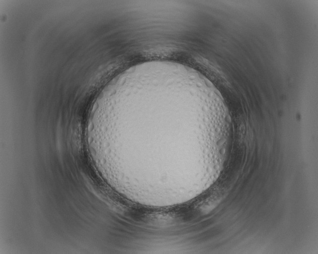 X0000077280498200611101321