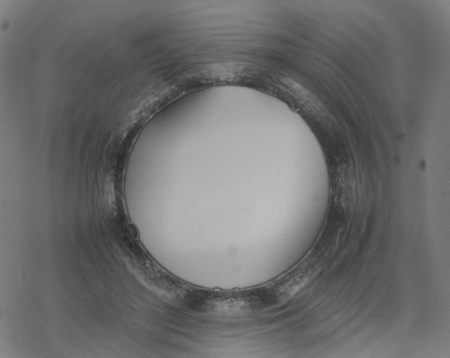 X0000077280500200611101321