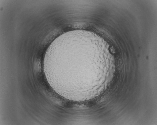 X0000077280502200611101321