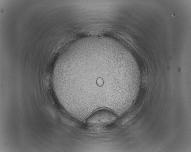 X0000077280503200611101321