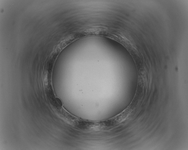 X0000077280504200611101321