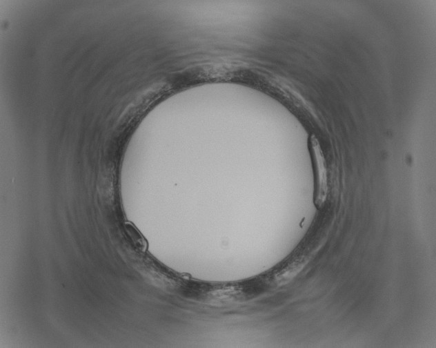 X0000077280505200611101321