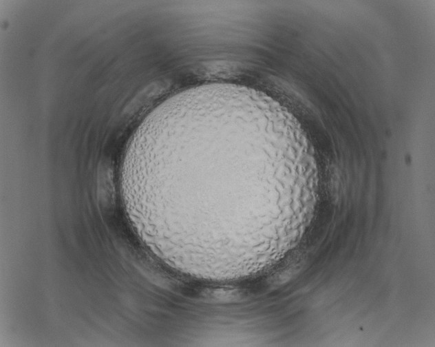 X0000077280506200611101321