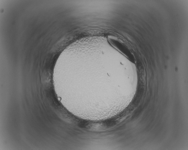 X0000077280507200611101321