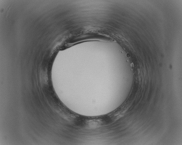 X0000077280508200611101321