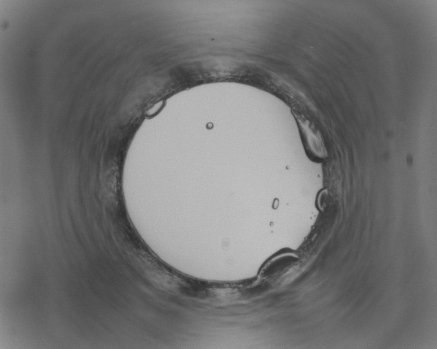 X0000077280509200611101321