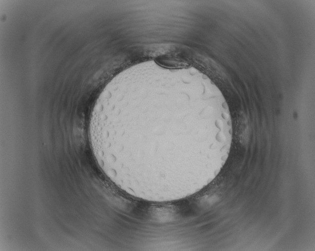 X0000077280510200611101321