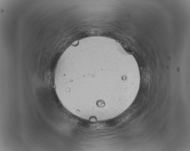 X0000077280511200611101321