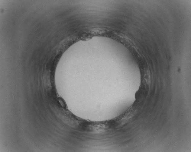 X0000077280512200611101321