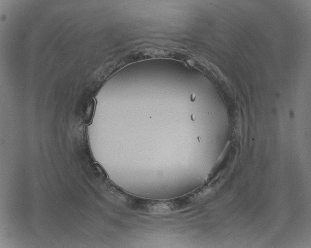 X0000077280513200611101321