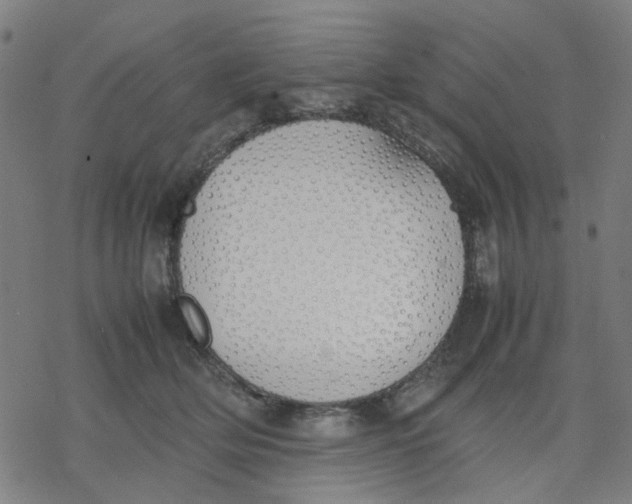 X0000077280514200611101321