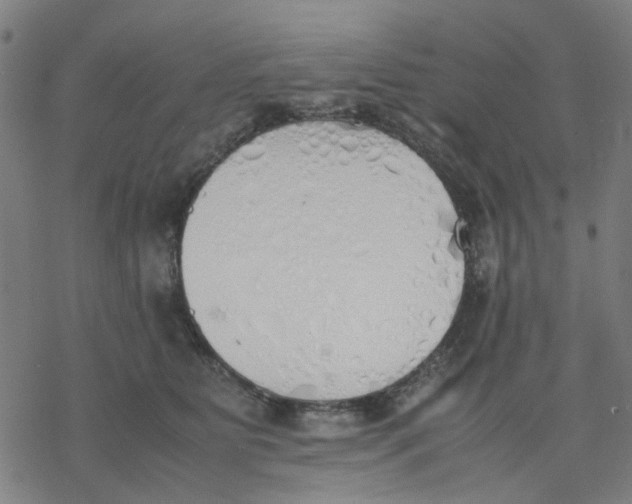 X0000077280515200611101321