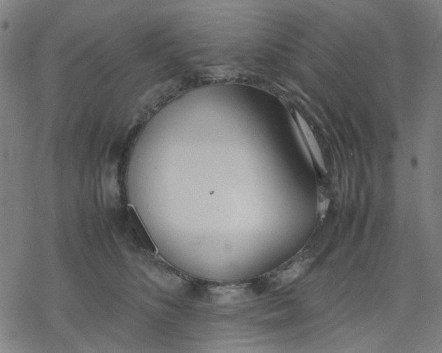 X0000077280516200611101321