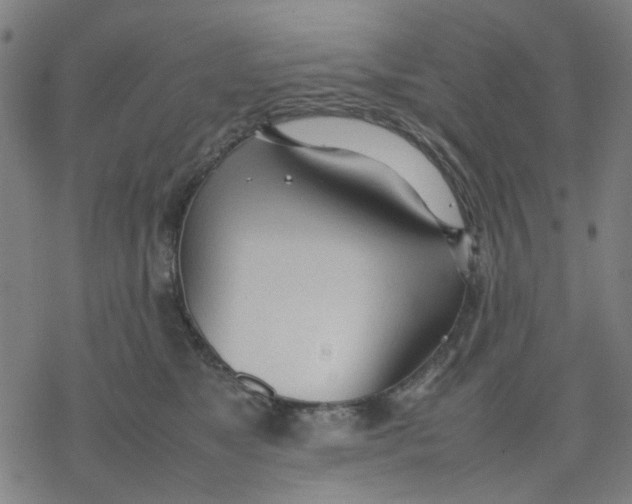 X0000077280517200611101321