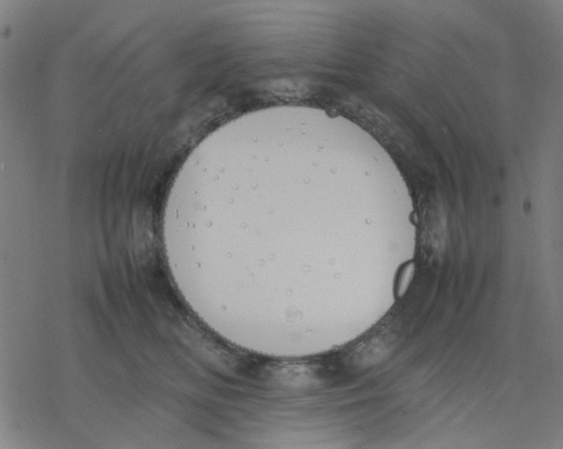 X0000077280518200611101321