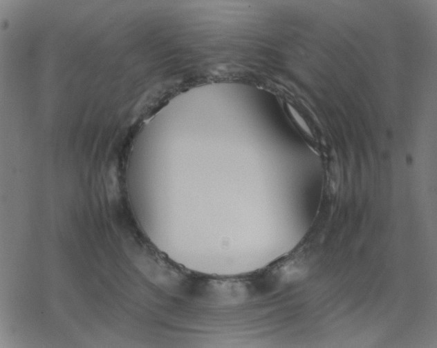 X0000077280520200611101321