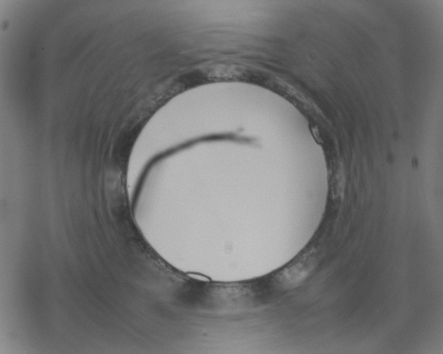 X0000077280521200611101321