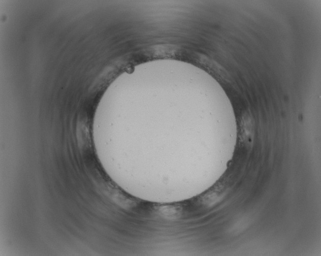 X0000077280522200611101321