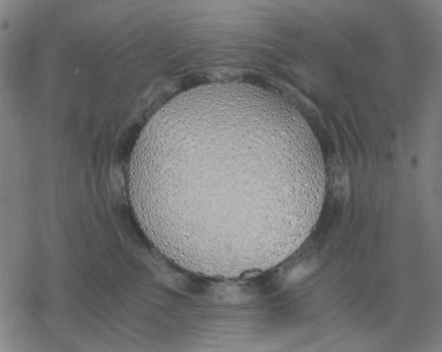 X0000077280523200611101321