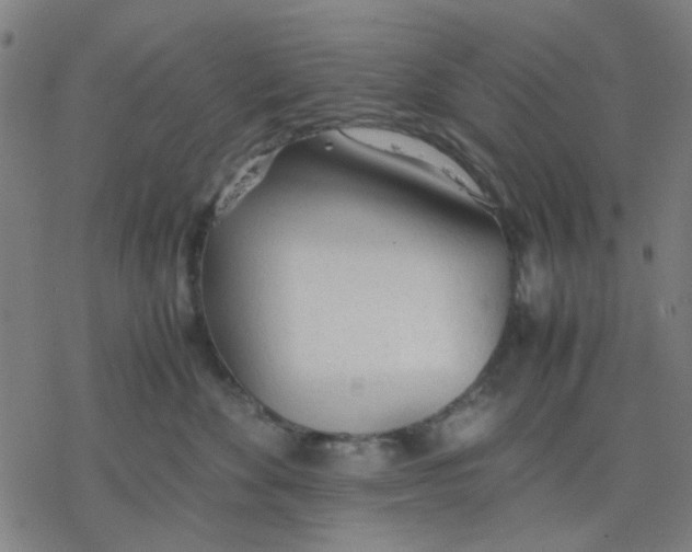 X0000077280524200611101321