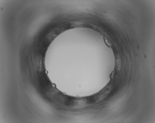 X0000077280525200611101321