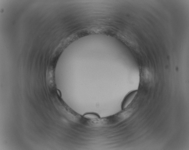 X0000077280526200611101321