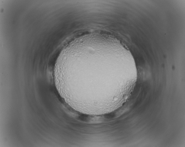 X0000077280527200611101321