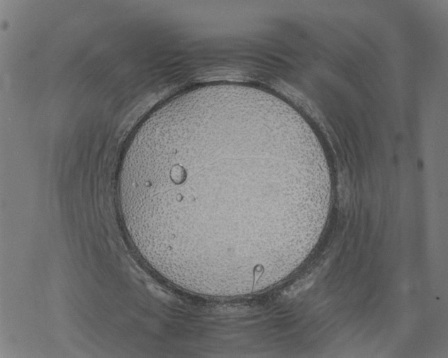 X0000077280529200611101320