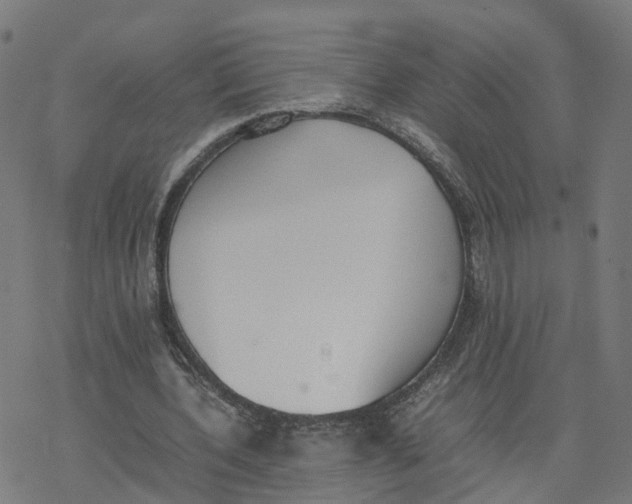 X0000077280532200611101320