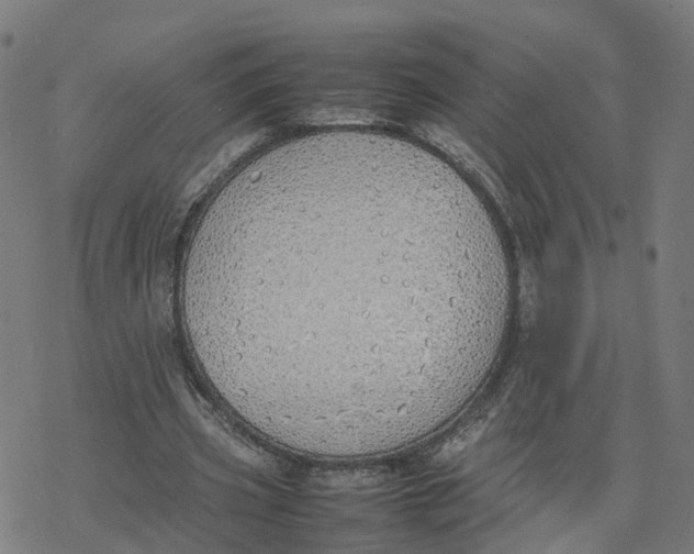 X0000077280533200611101320