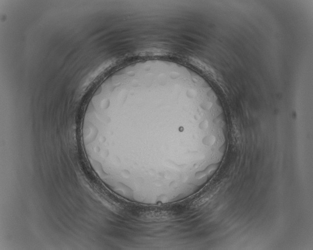 X0000077280535200611101320