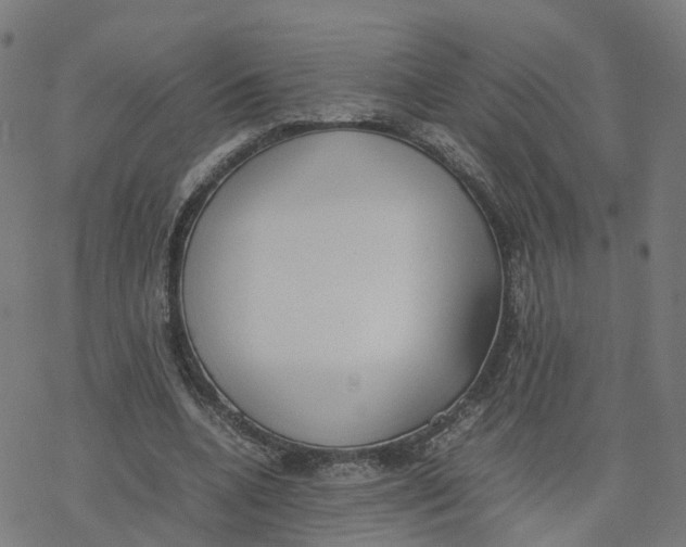 X0000077280536200611101320