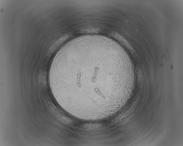 X0000077280537200611101320