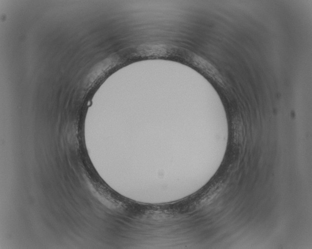 X0000077280538200611101320