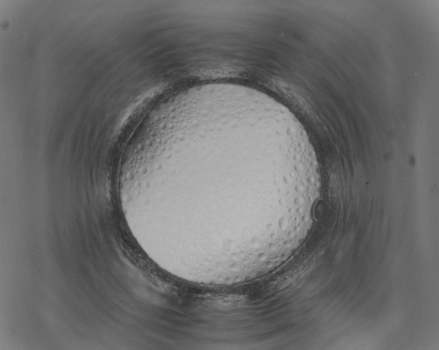 X0000077280539200611101320