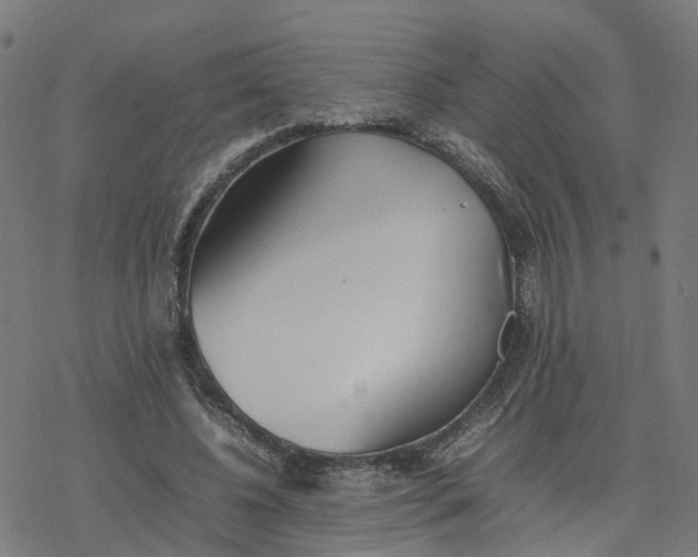 X0000077280540200611101320