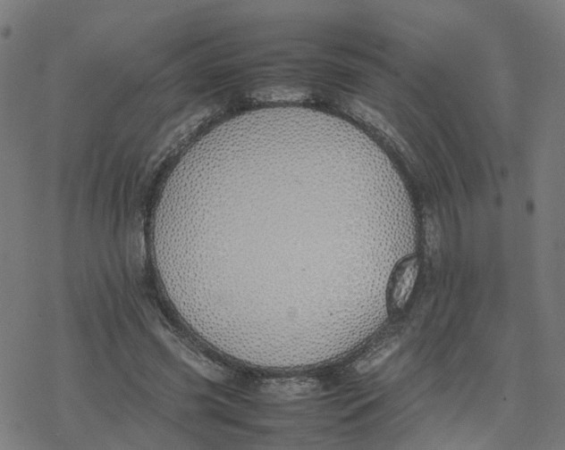 X0000077280541200611101320