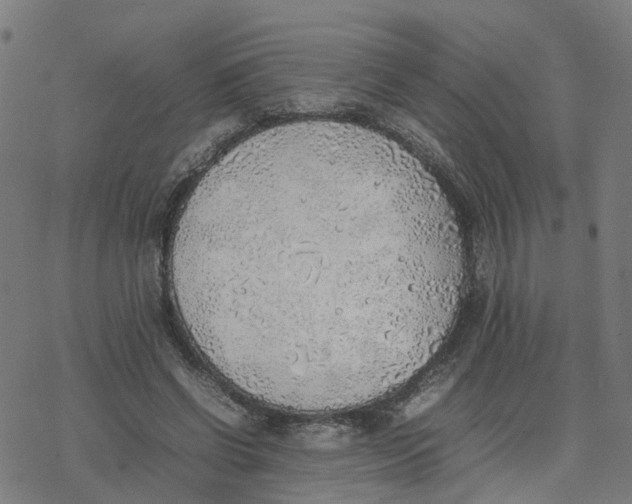 X0000077280542200611101320