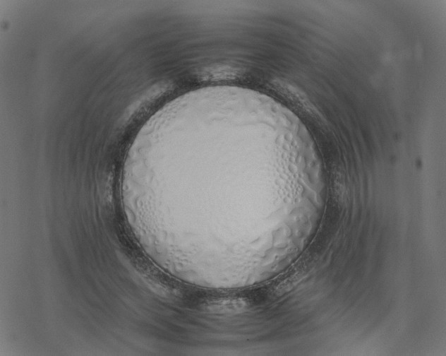 X0000077280543200611101320