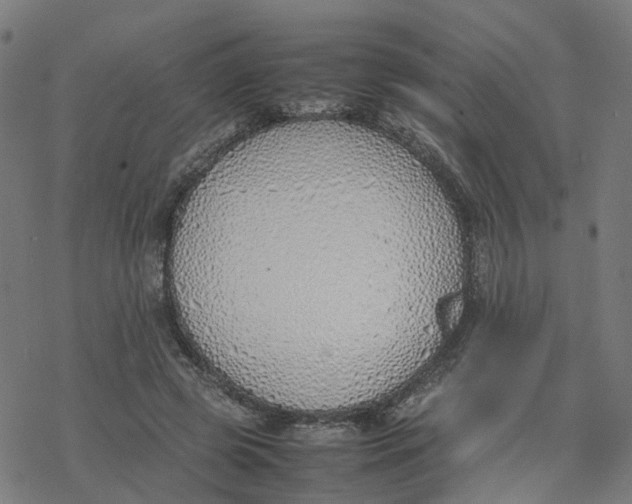 X0000077280545200611101320