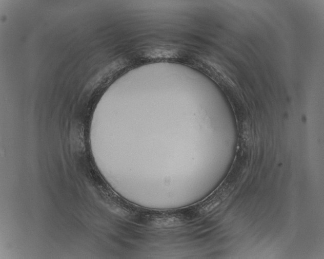 X0000077280547200611101320