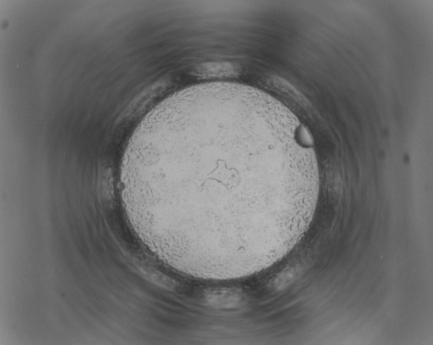 X0000077280549200611101320