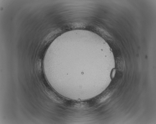 X0000077280550200611101320